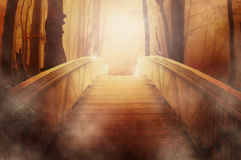 Wooden Bridge in Forest — Brown, Serene, Sunset