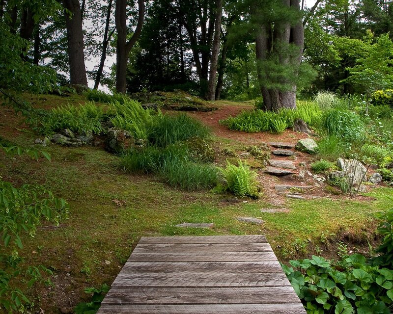 Wooden bridge in forest garden