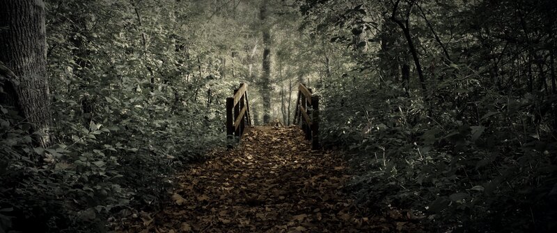 Wooden Bridge in Forest — Green, Dark, Autumn