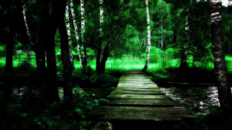Wooden Bridge in Forest — Green, Dark, Night
