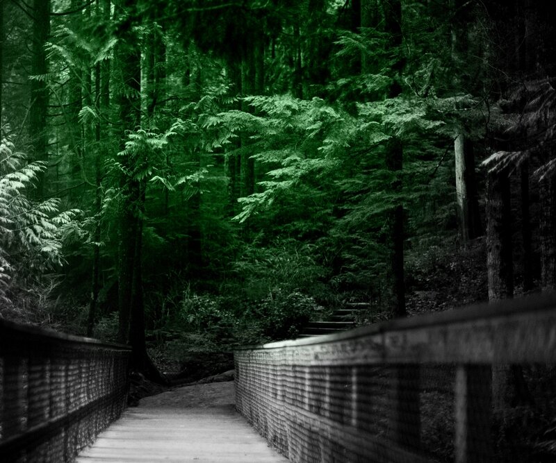 Wooden Bridge in Forest — Green, Dark