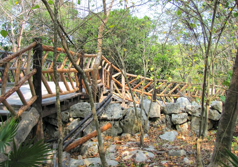 Wooden Bridge in Forest — Green, Natural, Afternoon, Photograph, Trees, Rocks