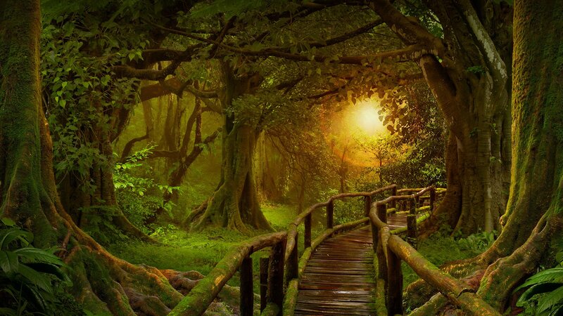 Wooden Bridge in Forest — Green, Serene, Afternoon, Digital Art, Trees