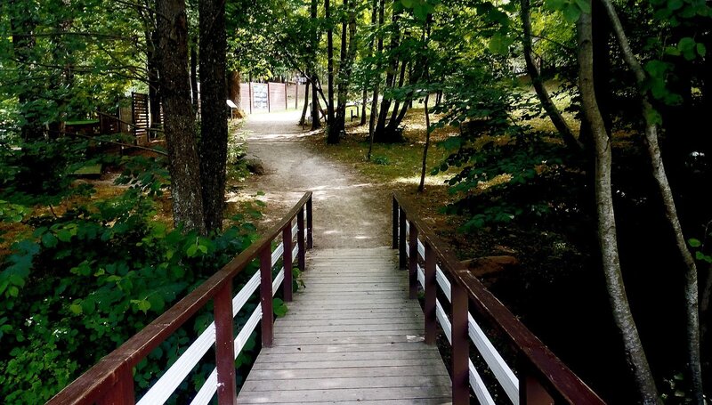 Wooden Bridge in Forest — Green, Serene, Afternoon, Photograph, Path, Trees, Railing