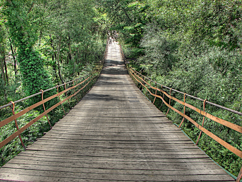 Wooden Bridge in Forest — Green, Serene, Afternoon, Photograph, Railing