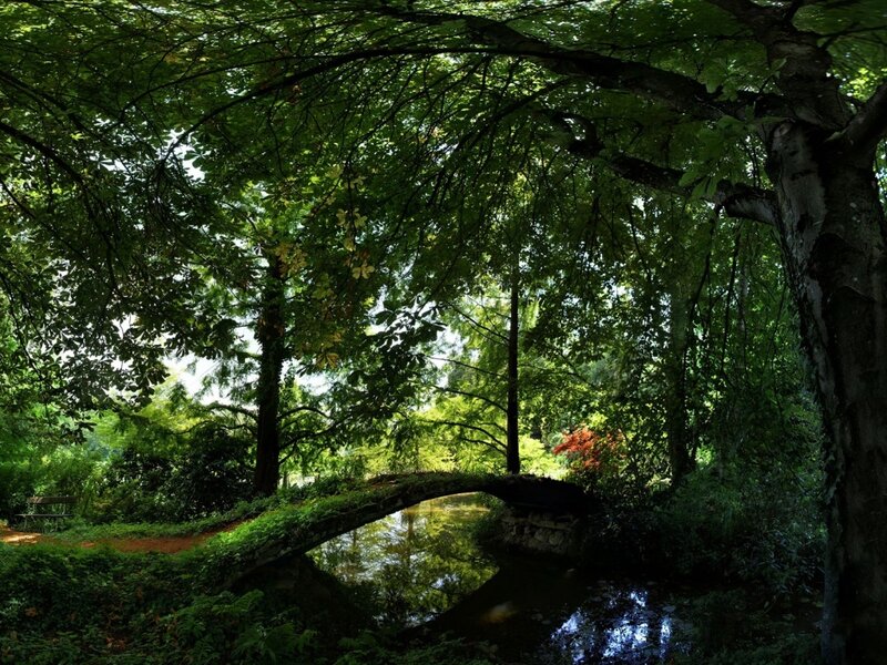 Wooden Bridge in Forest — Green, Serene, Afternoon, Photograph, River