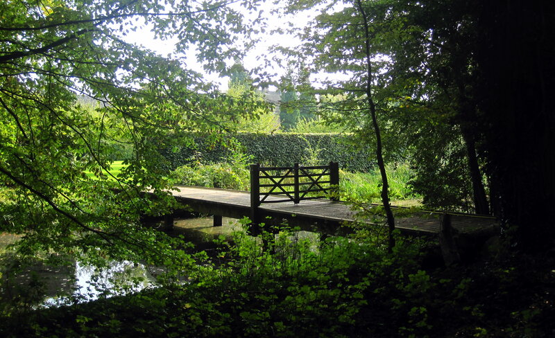 Wooden Bridge in Forest — Green, Serene, Afternoon, Photograph, River, Trees, Hedge