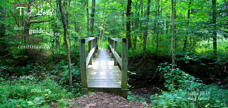 Wooden Bridge in Forest — Green, Serene, Afternoon, Photograph, Stream