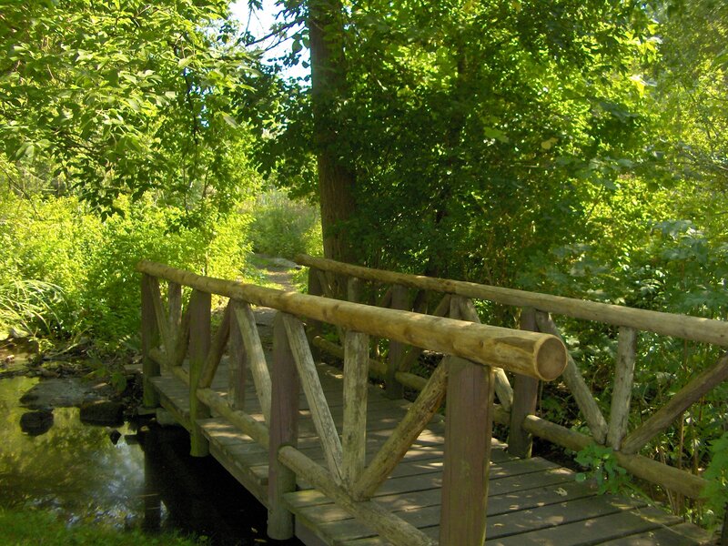 Wooden Bridge in Forest — Green, Serene, Afternoon, Photograph, Stream, Trees