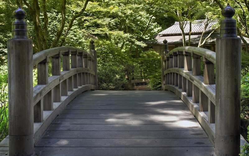 Wooden Bridge in Forest — Green, Serene, Afternoon, Photograph