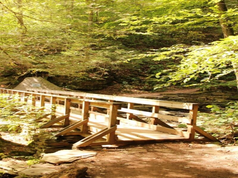 Wooden Bridge in Forest — Green, Serene, Afternoon, Photograph, Trees, Path, Stone Wall