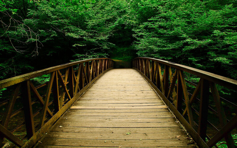 Wooden Bridge in Forest — Green, Serene, Afternoon, Photograph, Trees, Railing, Path