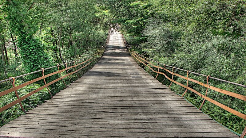 Wooden Bridge in Forest — Green, Serene, Afternoon, Photograph, Trees, Railing