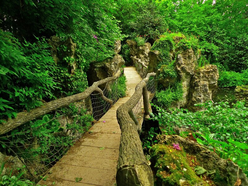 Wooden Bridge in Forest — Green, Serene, Afternoon, Photograph, Trees, Rocks, Plants