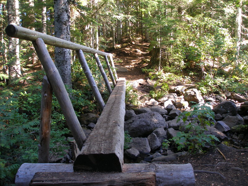 Wooden Bridge in Forest — Green, Serene, Afternoon, Photograph, Trees, Rocks, Trail