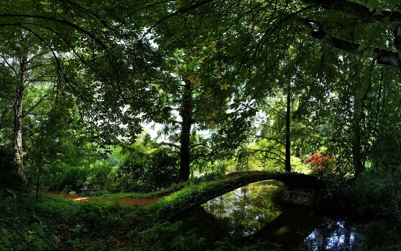 Wooden Bridge in Forest — Green, Serene, Afternoon, Photograph, Trees, Stream
