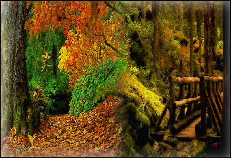 Wooden Bridge in Forest — Green, Serene, Autumn, Digital Art