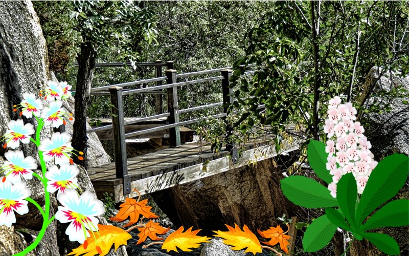 Wooden Bridge in Forest — Green, Serene, Autumn, Illustration