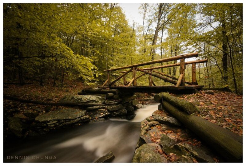 Wooden Bridge in Forest — Green, Serene, Autumn, Photograph, Stream, Trees, Rocks