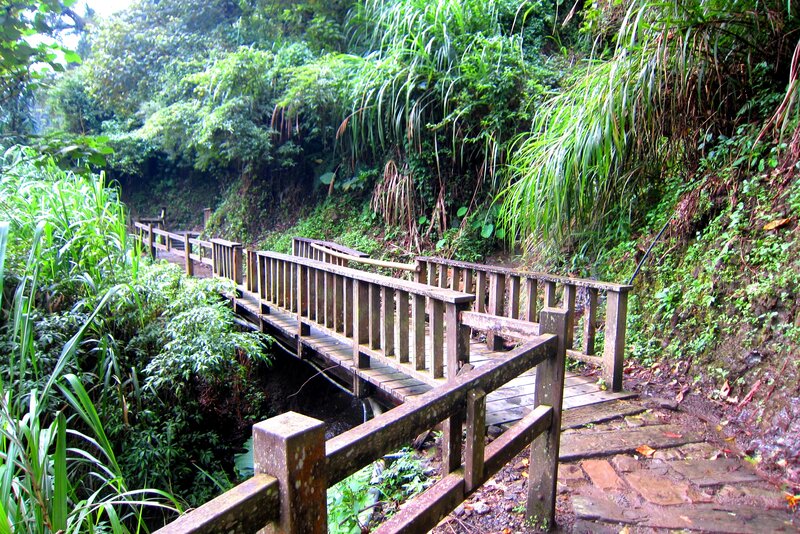 Wooden Bridge in Forest — Green, Serene, Morning, Photograph, Path