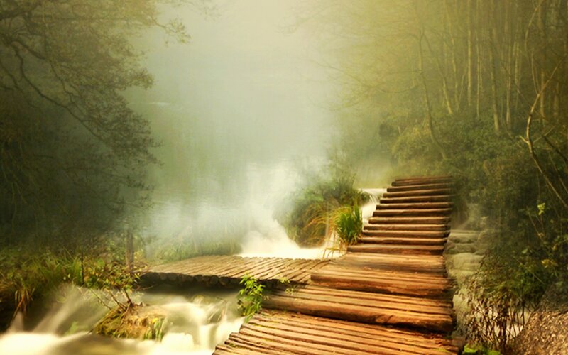 Wooden Bridge in Forest — Green, Serene, Morning, Photograph, River, Trees, Mist
