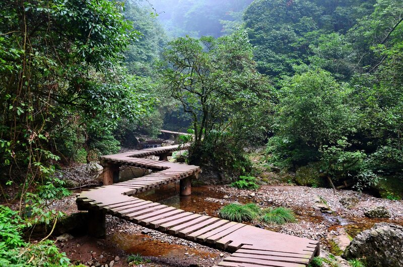 Wooden Bridge in Forest — Green, Serene, Morning, Photograph, River, Trees, Rocks