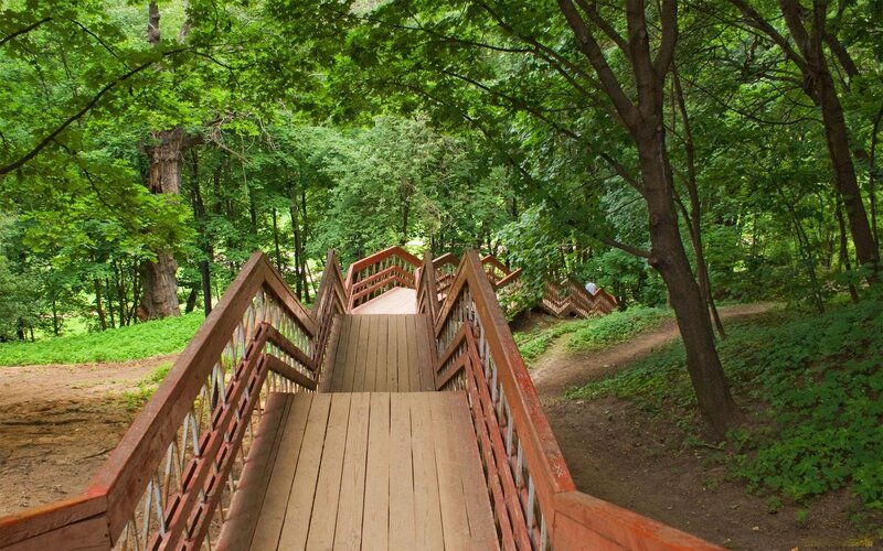 Wooden Bridge in Forest — Green, Serene, Summer