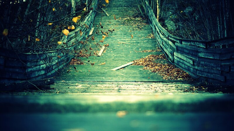 Wooden Bridge in Forest — Green, Somber