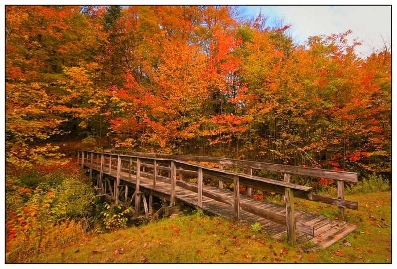 Wooden Bridge in Forest — Orange, Serene, Autumn, Photograph, Trees, Fall Foliage