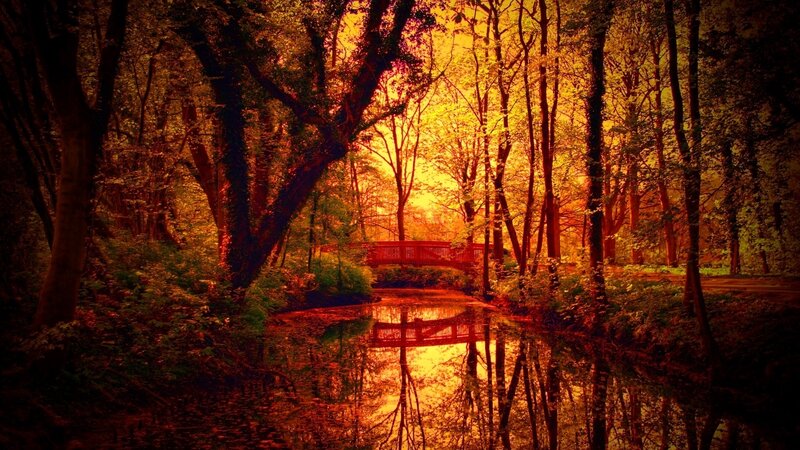 Wooden Bridge in Forest — Orange, Serene, Sunset