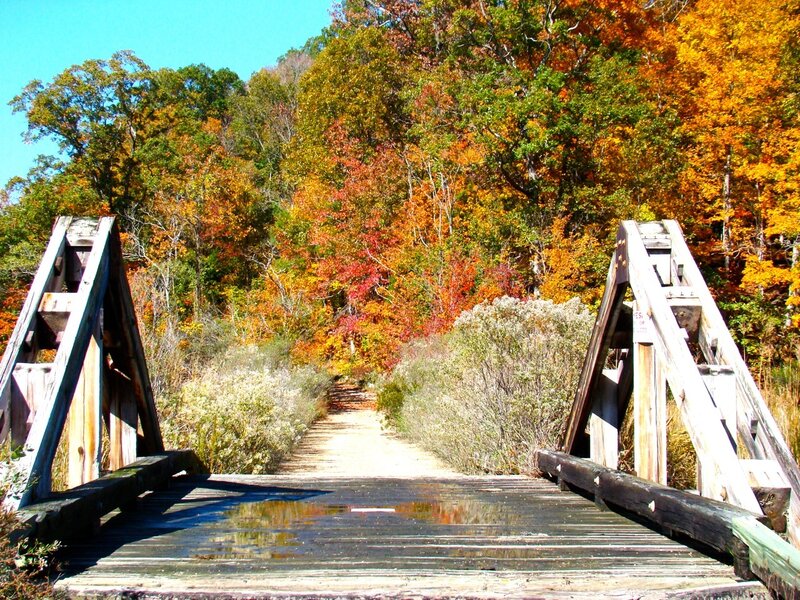 Wooden Bridge in Forest — Orange