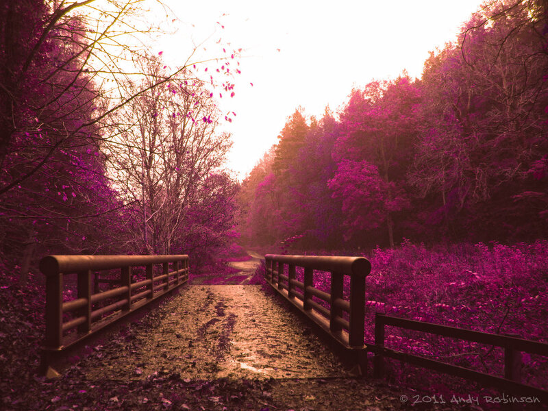 Wooden Bridge in Forest — Purple
