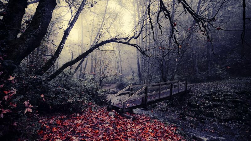 Wooden Bridge in Forest — Red, Mysterious, Autumn