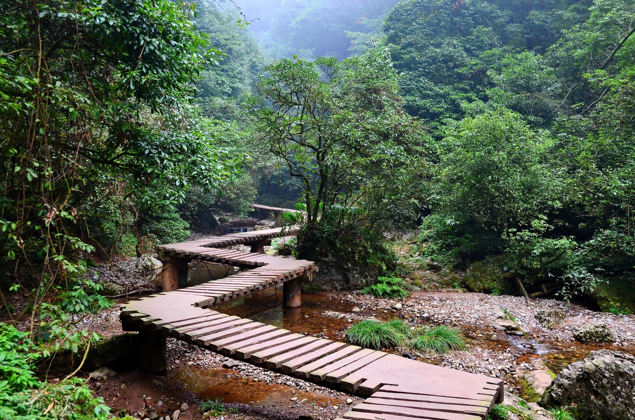 Wooden bridge in forest valley