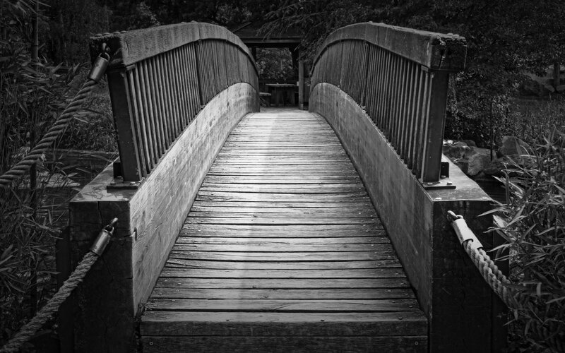 Wooden Bridge in Garden — Black