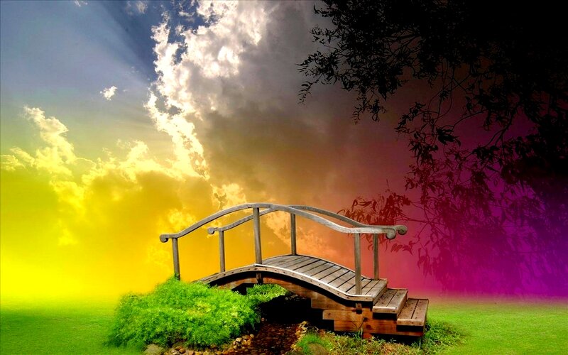 Wooden Bridge in Garden — Green, Dramatic