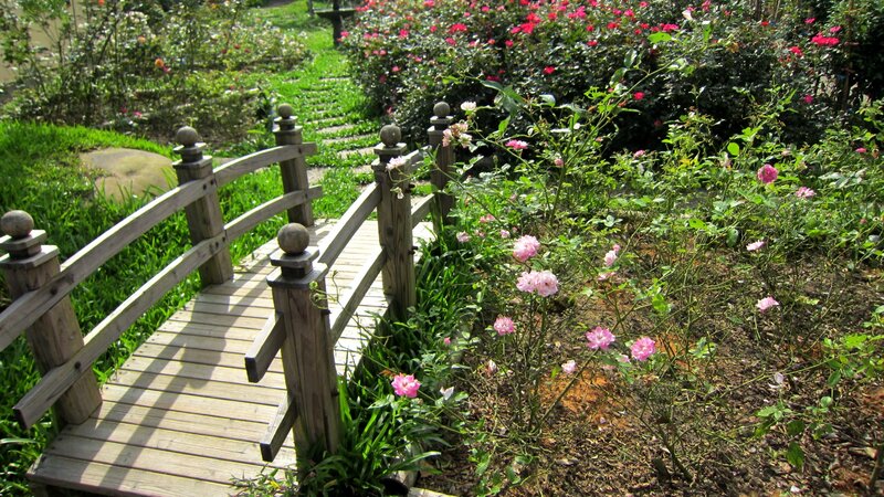Wooden Bridge in Garden — Green, Serene, Afternoon, Photograph, Flowers, Plants