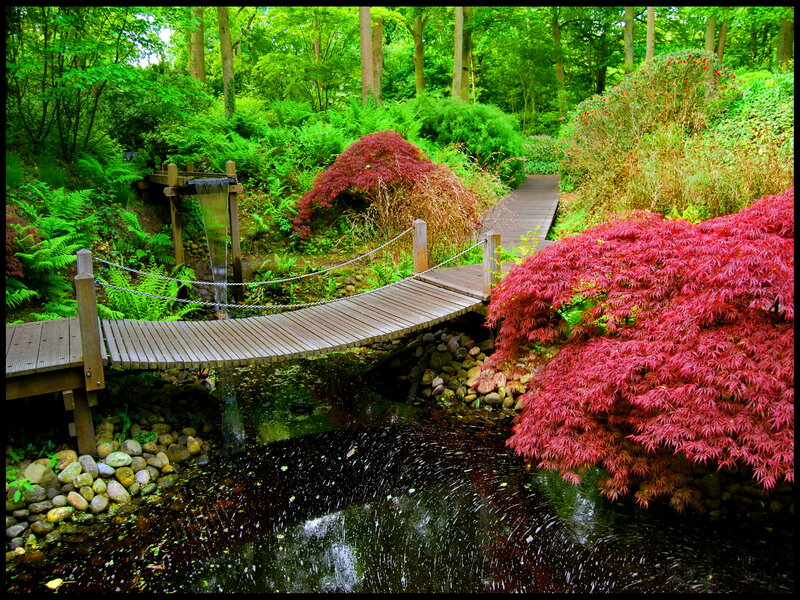 Wooden Bridge in Garden — Green, Serene, Afternoon, Photograph, Stream