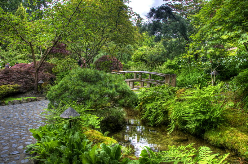 Wooden Bridge in Garden — Green, Serene, Afternoon, Photograph, Stream, Trees