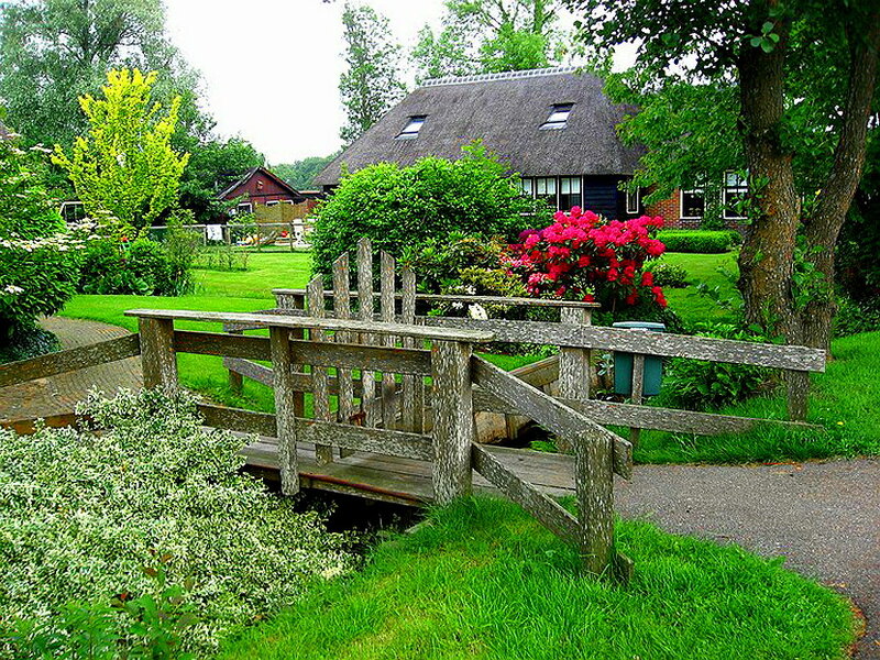 Wooden Bridge in Garden — Green, Serene, Afternoon, Photograph, Thatched Roof House