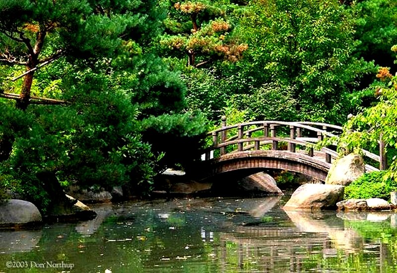 Wooden Bridge in Garden — Green, Serene, Afternoon, Photograph, Trees, Pond, Rocks