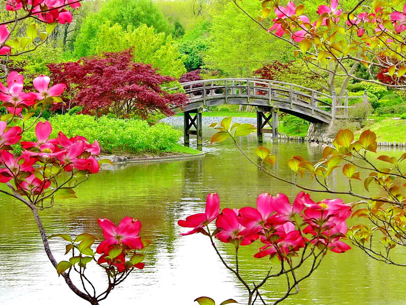 Wooden Bridge in Garden — Green, Serene, Spring, Photograph, Flowers