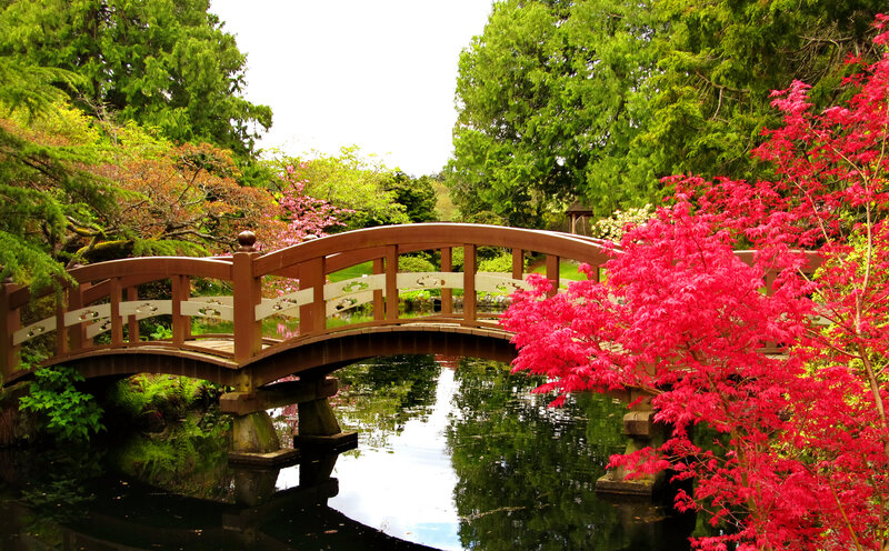 Wooden Bridge in Garden — Green, Serene, Spring, Photograph, Red Tree