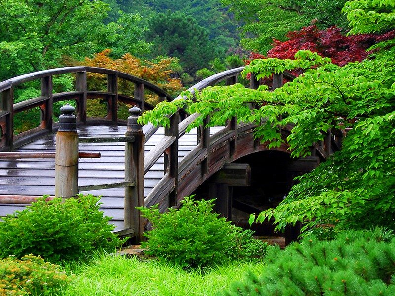 Wooden Bridge in Garden — Green, Serene, Spring, Photograph