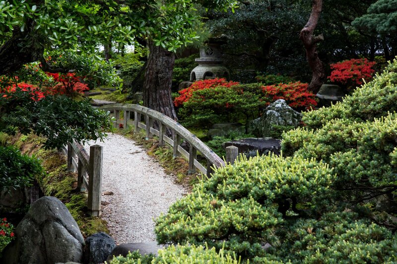 Wooden Bridge in Garden — Green, Serene, Spring, Photograph, Trees, Bushes