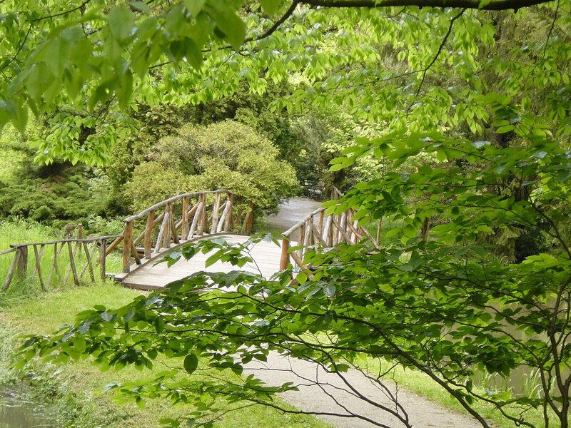 Wooden Bridge in Garden — Green, Serene, Spring, Photograph, Trees, Path