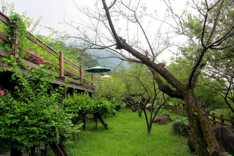 Wooden Bridge in Garden — Green, Serene, Spring, Photograph, Trees