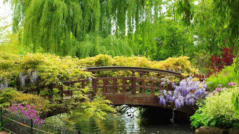Wooden Bridge in Garden — Green, Serene, Spring, Photograph, Weeping Willow
