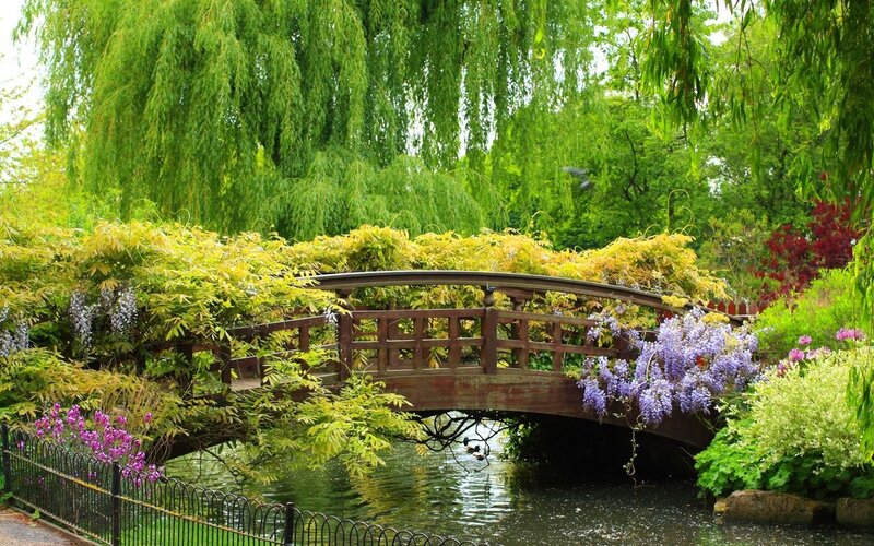 Wooden Bridge in Garden — Green, Serene, Spring, Photograph, Weeping Willow, Wisteria