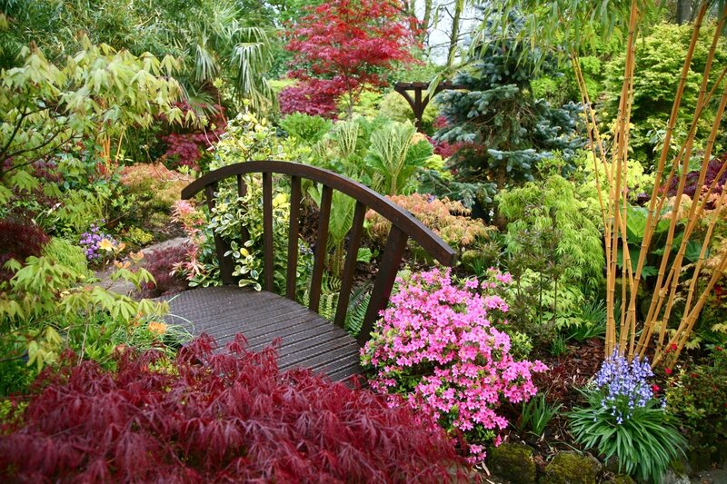 Wooden Bridge in Garden — Green, Serene, Spring